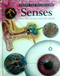 Under The Microscope: Senses